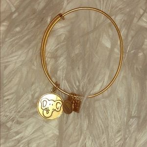 Alex and Ani bracelet